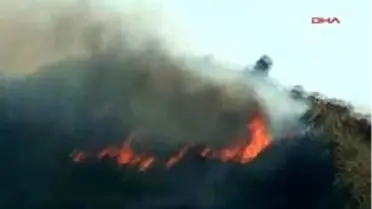 Muğla´Da Çocukların Tehlikeli Oyunu, 4 Dönüm Çam Ormanını Kül Etti
Büyüteçle Oynayan Çocuklar Ormanı Yaktı