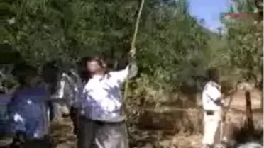 Datça - Ak Partili Hıdır, Badem Üreticisinden Referandumda Destek İstedi