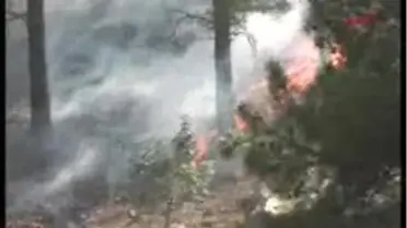 Pozantı - Niğde-Adana Arasında Orman Yangını