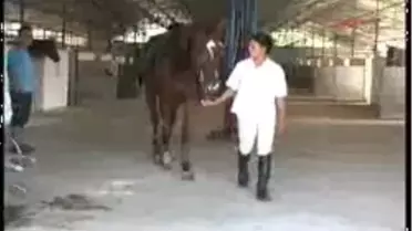 Antalya - ´Organlarını Mı Çalacaksınız ?´