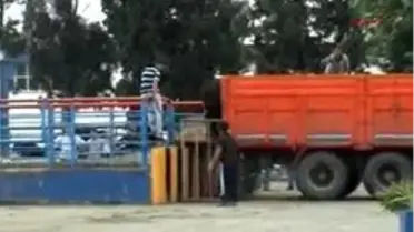 Angus'un Kilosu 12 Lira