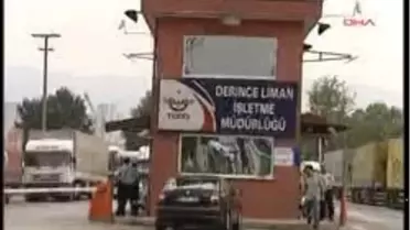 İzmit - Uruguay Ve Brezilya'dan Getirilen Büyükbaş Hayvanların Sevkiyatı Sürüyor