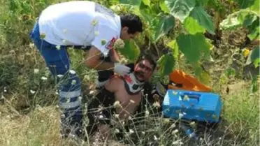 Otomobilin Ayçiçek Tarlasına Fırlattığı Motosikletli 7 Saat Kurtarılmayı Bekledi