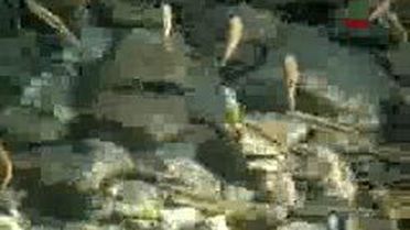 Bayramiç'te Mitoloji Canlandırıldı