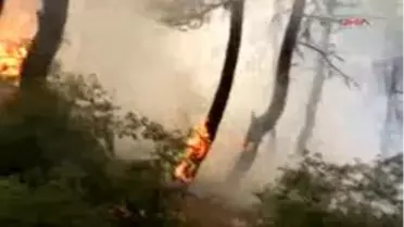 Tokat - Erbaa'da Korkutan Orman Yangını