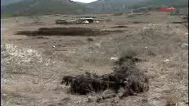 Burdur - Köyü Sel Vurdu, 15 Hayvan Telef Oldu