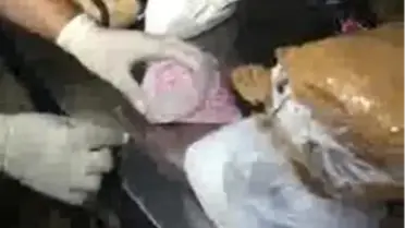 Konserve Kokain Hizmeti!