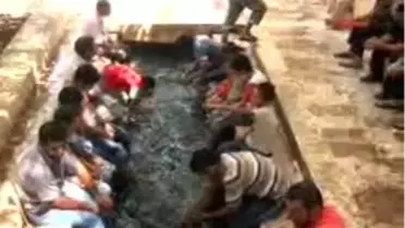 Şanlıurfa - Camide Koyun Koyuna Öğlen Uykusu