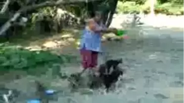 Bu Kediler Çok Şanslı