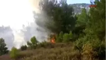 Çalı Çırpı Orman Yaktı
