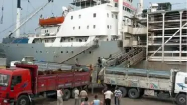 Derince Limanı'na 12 Bin 580 Angus Daha Geldi