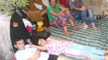 4 Kişilik Aile Ağaç Altına Sığındı