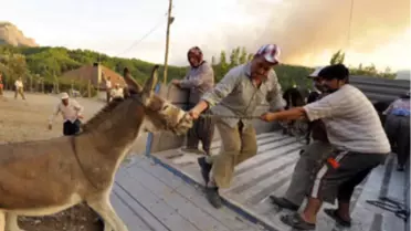 Antalya'nın Karaöz Beldesi'ndeki Orman Yangını...