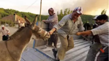 Şimdi de Burdur Yanıyor