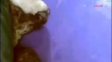 Hatay - Nazmiye Denizle Buluştu