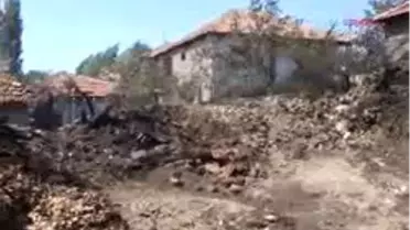 Yozgat - Anız Yangını 1 Ev İle 1500 Meyve Ağacını Kül Etti