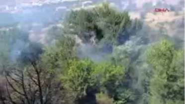 Yozgat - Çalı Yangını 100 Dekarlık Üzüm Bağları Ve Meyve Ağacını Kül Etti