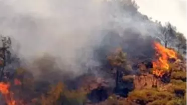 Marmaris'te Orman Yangını