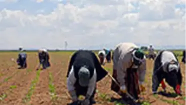 Dünyanın Gözü Bu Ovanın Üzerinde