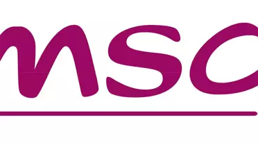 Emsan'dan 2010'da 700 Bayi İle 20 Milyon Tl Ciro