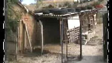 Keşan-At Keserken Yakalandılar:``Biz De Yiyoruz Ne Var Bunda''