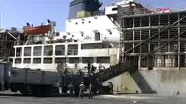 Mersin - Uruguay?Dan Alınan Büyükbaş Hayvanlar Mersin Limanı'na Geldi