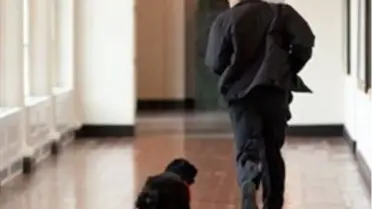 Obama Köpek Eğitiminde Sınıfta Kaldı