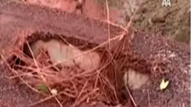 Karadeniz'e Kızıl Çamur Tehdidi