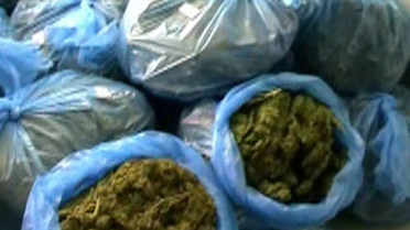 322 Kilo Esrar Ele Geçirildi