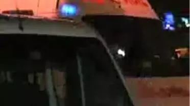 Köpeğini Yatağa Aldı, Sevgilisinden Dayak Yedi