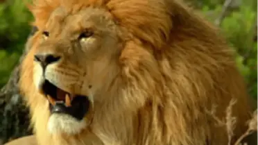 Her Perşembe 'The Most Extreme' Scı Tech Tv