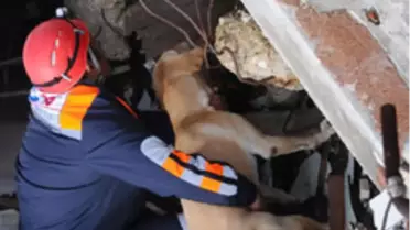 'Bizim Çocuklar' Parmak Isırttı

