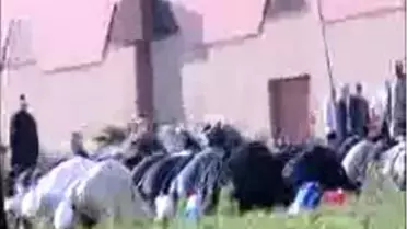 Mahmut Ustaosmanoğlu'na Ödül