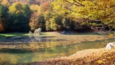 Yedigöller'de Kızıl Güzellik