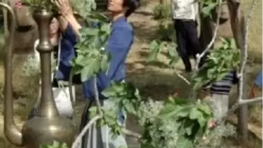 Japon Mutfağına Keyifli Bir Yolculuğa Hazır Mısınız?