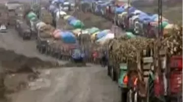 Pancar Çiftçisinin Kuyruk Çilesi