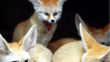 Sci Tech TV’de, The Most Extreme