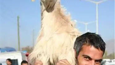 Bu Haberi Okumadan Kurban Eti Yemeyin
