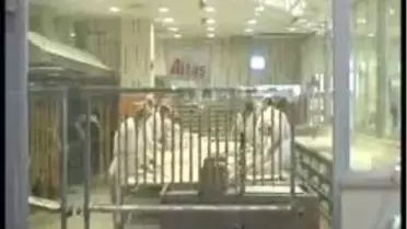 'O Lokum' Markalaşıyor