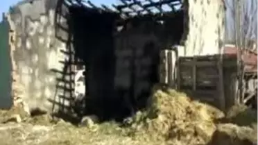 'Adalete Güveniyoruz'