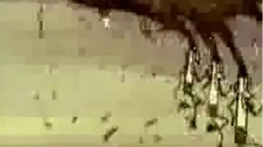 Rusya Sigara Karşısında Çaresiz