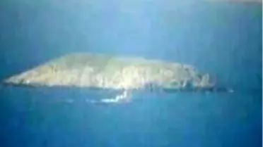 Ege'de Çipura Dalaşı Başladı