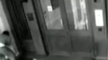 Yavru Köpeği Defalarca Tekmeledi... İngiltere Bu Görüntüyü Konuşuyor