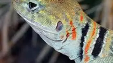 Sci Tech TV’de, The Most Extreme