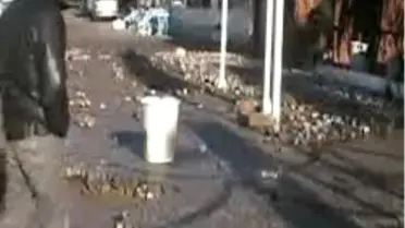 Turgutreis'i Fırtına Vurdu