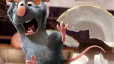 Tv’de İlk Kez, Ratatoulille