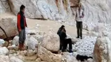 Kaputaj Plajında Yavru Fok