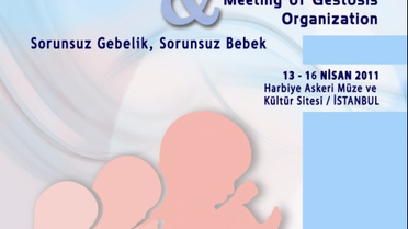 Sorunsuz Gebelik Sorunsuz Bebek'_Perinatoloji Kongresi İstanbul'da