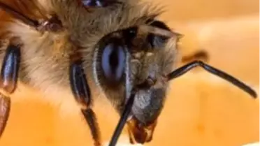 Sci Tech TV’de, The Most Extreme