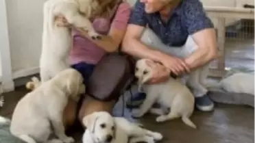 Marley & Me,Sınema Tv ve Sınema Tv Hd'de